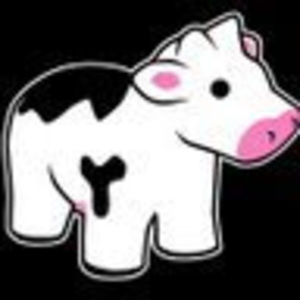 Meet your Posher, Janice